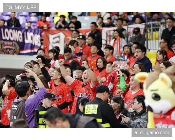 威尔士球迷热情助威，团结一心共迎精彩赛事时刻