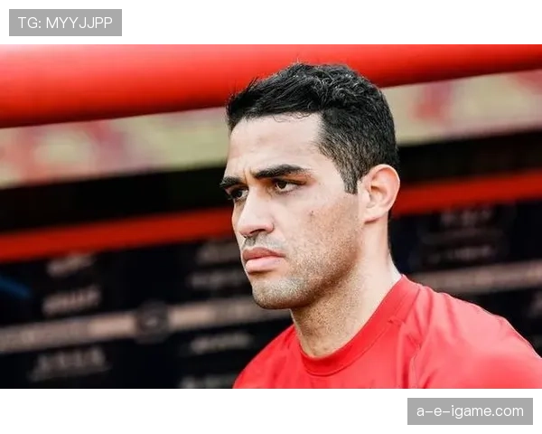 谢菲尔德联引援补强，全力备战新赛季彰显争胜雄心