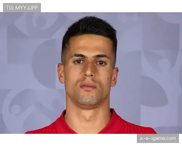 若昂·坎塞洛:葡萄牙国家队主力边后卫