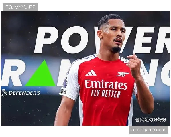 威廉·萨利巴:英超争冠赛季防线核心 威廉·萨利巴:英超争冠赛季防线核心